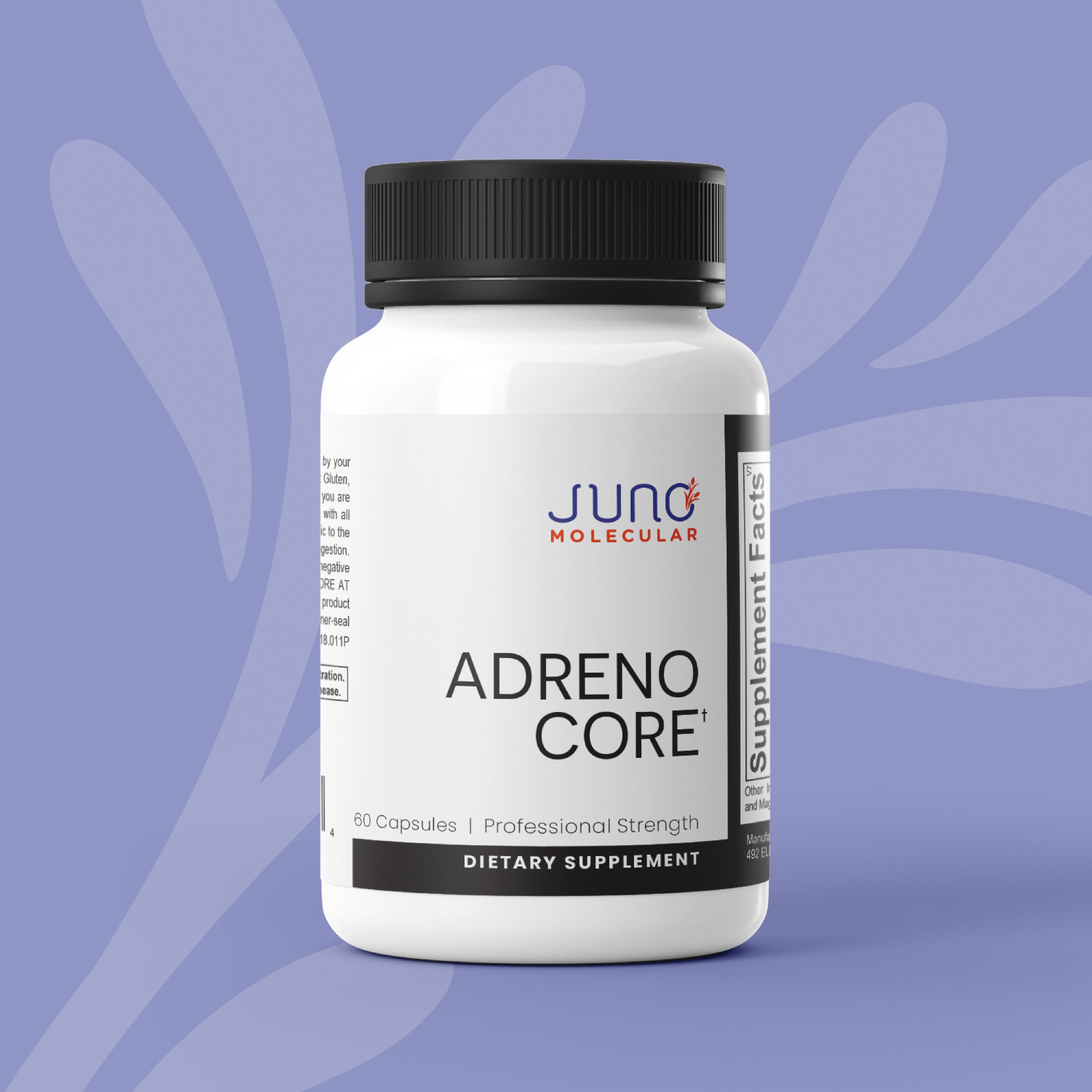 Adreno Core