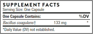 Bacillus Coagulans