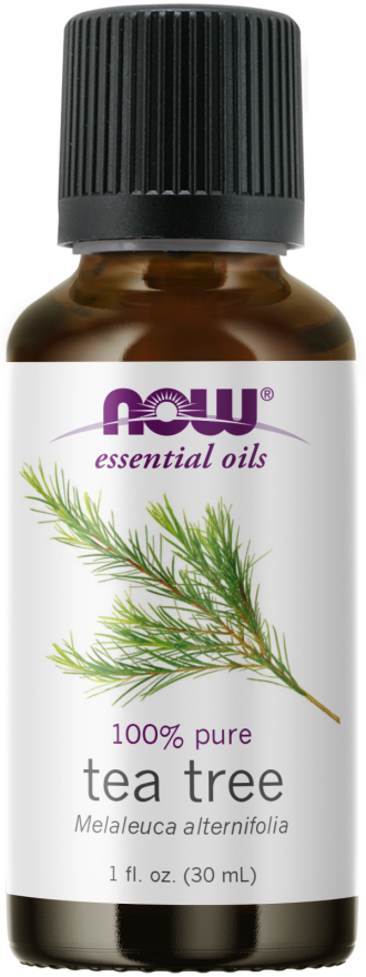 TEA TREE OIL  1 OZ